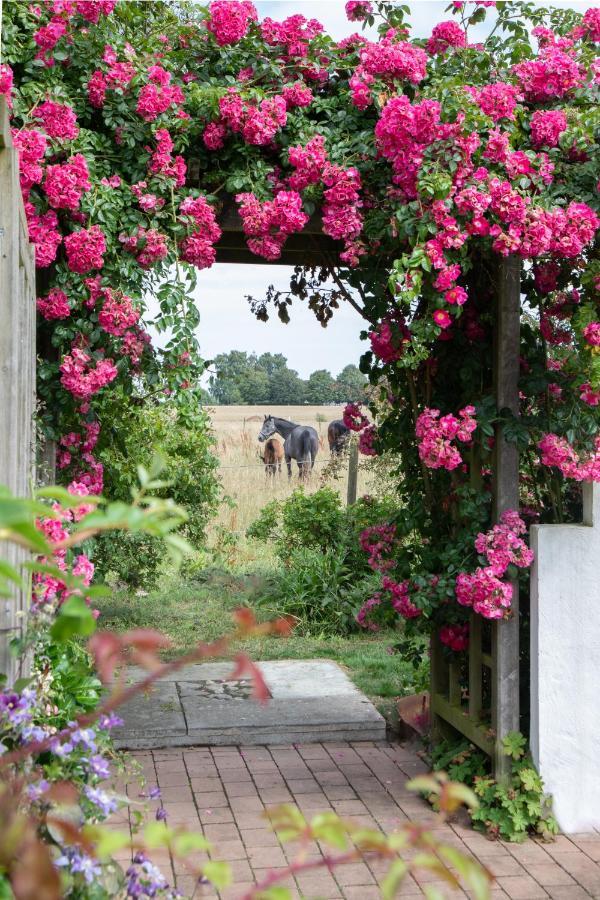 Villa Verde Oesterlen Glemminge Exteriér fotografie